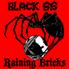 raining bricks and bss